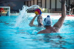 WBall_Triat_Ttennis_Fechten_FUss_Shabb-20