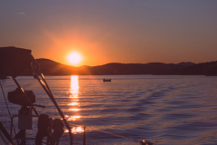 Sailing-week-20.9-2-21