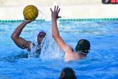 Wasserball-20190804-DSC_6566