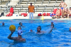 Wasserball-20190804-DSC_6576